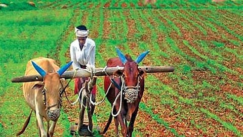 ಸಾಂದರ್ಭಿಕ ಚಿತ್ರ