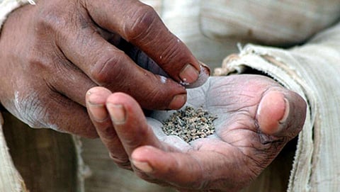 ಸಂಗ್ರಹ ಚಿತ್ರ