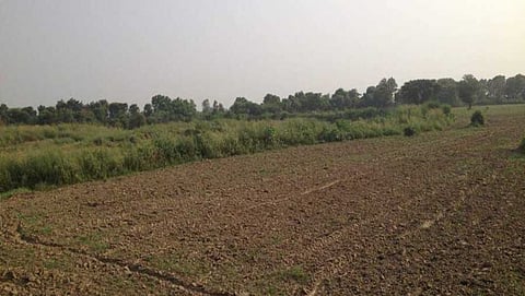 ಸಾಂದರ್ಭಿಕ ಚಿತ್ರ