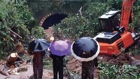 ಸಂಗ್ರಹ ಚಿತ್ರ