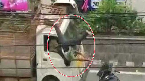 ಸಂಗ್ರಹ ಚಿತ್ರ