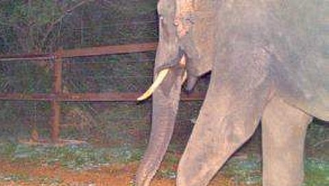 ಸಂಗ್ರಹ ಚಿತ್ರ