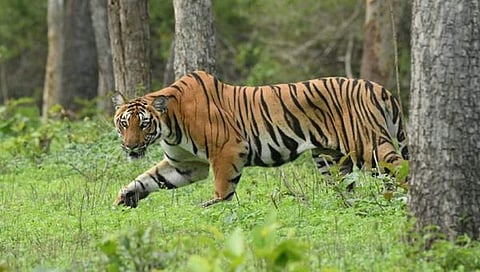 ಸಂಗ್ರಹ ಚಿತ್ರ
