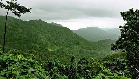 ಪಶ್ಚಿಮ ಘಟ್ಟ
