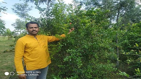 ರೈತ ಶ್ರೀನಾಥ್