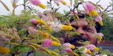 ಬಾಗಲಕೋಟೆ: ಗಮನ ಸೆಳೆಯುತ್ತಿರುವ ಅಪರೂಪದ, ವಧುವರ ಹೂಗಳು
