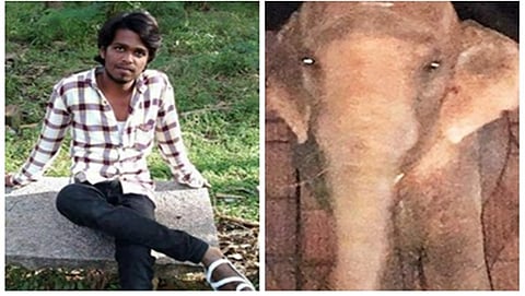 ತುಮಕೂರು: ಬಾಳೆಹಣ್ಣು ನೀಡಿದ ಯುವಕನ ತಲೆಯನ್ನೇ ಜಗಿದ ಮದಗಜ!