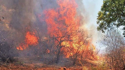 ಚಾಮುಂಡಿ ಬೆಟ್ಟದಲ್ಲಿ ಅಗ್ನಿಯ ರುದ್ರ ನರ್ತನ