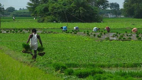 ಸಾಂದರ್ಭಿಕ ಚಿತ್ರ