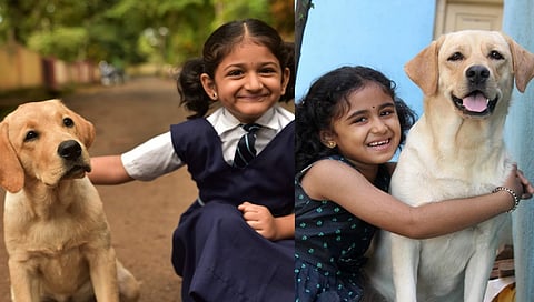 ಸಂಗ್ರಹ ಚಿತ್ರ