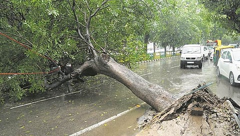 ಸಂಗ್ರಹ ಚಿತ್ರ