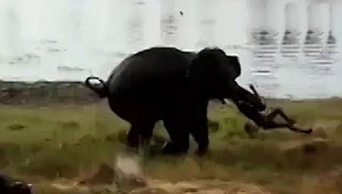 ಸಂಗ್ರಹ ಚಿತ್ರ
