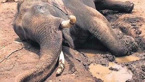ದ್ರೋಣ