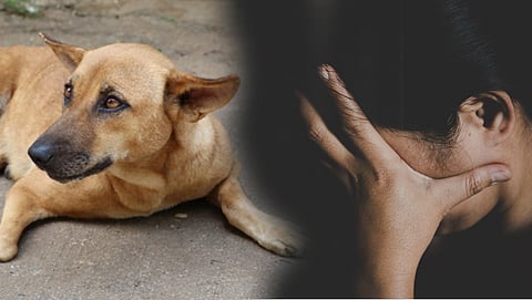 ಸಾಂಧರ್ಬಿಕ ಚಿತ್ರ