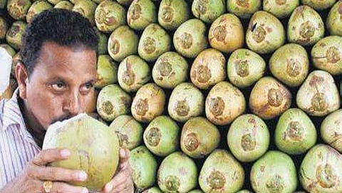 ಸಾಂದರ್ಭಿಕ ಚಿತ್ರ
