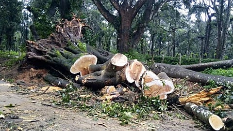 ಸಾಂದರ್ಭಿಕ ಚಿತ್ರ