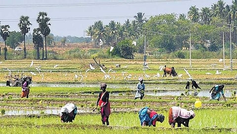 ಸಾಂದರ್ಭಿಕ ಚಿತ್ರ