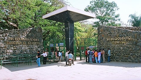 ಮೈಸೂರು ಪ್ರಾಣಿ ಸಂಗ್ರಹಾಲಯ