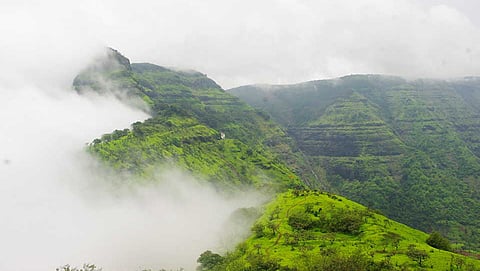 ಸಂಗ್ರಹ ಚಿತ್ರ