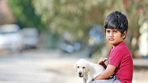 ಬೌಬೌ ಸಿನಿಮಾ ಸ್ಟಿಲ್