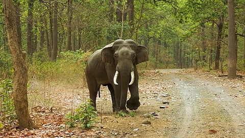 ಸಾಂದರ್ಭಿಕ ಚಿತ್ರ