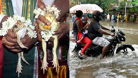 ಸಂಗ್ರಹ ಚಿತ್ರ