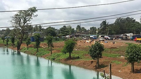 ಮರಗಳು