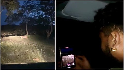 ಕಾನೂನು ಬಾಹಿರವಾಗಿ ಬಂಡೀಪುರದಲ್ಲಿ ನೈಟ್ ಸಫಾರಿ: ನಟ ಧನ್ವೀರ್ ವಿರುದ್ಧ ಆರೋಪ