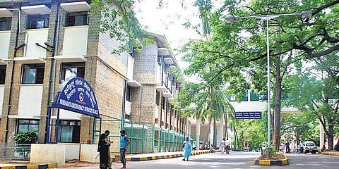 ಸಂಗ್ರಹ ಚಿತ್ರ