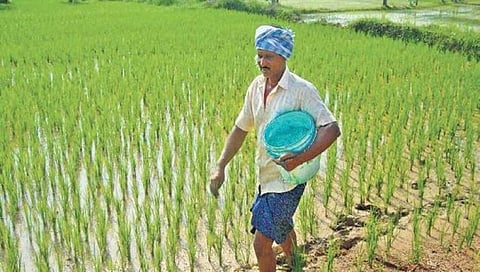 ಸಾಂದರ್ಭಿಕ ಚಿತ್ರ