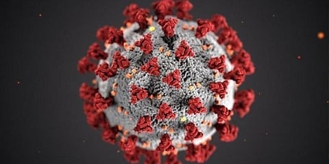 ಕಲ್ಯಾಣ ಕರ್ನಾಟಕ ಭಾಗದಲ್ಲಿ ಮತ್ತೆ ಕೊರೋನಾ ಸೋಂಕು ಪ್ರಕರಣಗಳಲ್ಲಿ ಏರಿಕೆ!