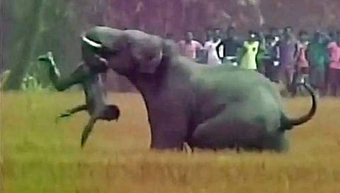 ಸಂಗ್ರಹ ಚಿತ್ರ