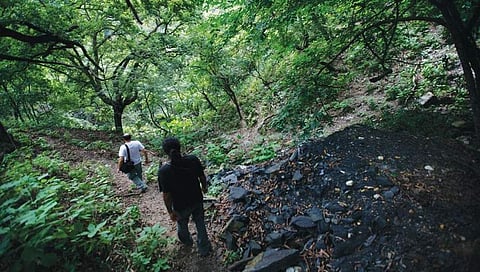 ಸಾಂದರ್ಭಿಕ ಚಿತ್ರ