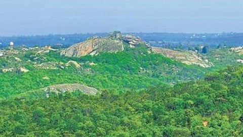 ಬನ್ನೇರುಘಟ್ಟ ಪಾರ್ಕ್ ನ ಸೂಕ್ಷ್ಮ ವಲಯ: ಕೇಂದ್ರದ ಅಧಿಸೂಚನೆಯಲ್ಲಿ ಕತ್ತರಿ, ಪರಿಸರ ಪ್ರೇಮಿಗಳಿಂದ ವಿರೋಧ 