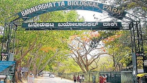 ಕೊರೋನಾ ಭೀತಿ: ಮಾ.23ರವರೆಗೆ ರಾಜ್ಯದ ಎಲ್ಲ ಮೃಗಾಲಯಗಳು ಬಂದ್