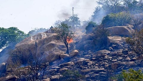 ಚಾಮುಂಡಿ ಬೆಟ್ಟ