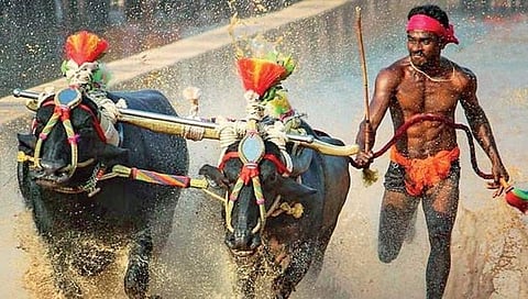 ಸಾಂದರ್ಭಿಕ ಚಿತ್ರ