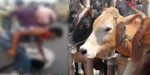 ಸಂಗ್ರಹ ಚಿತ್ರ
