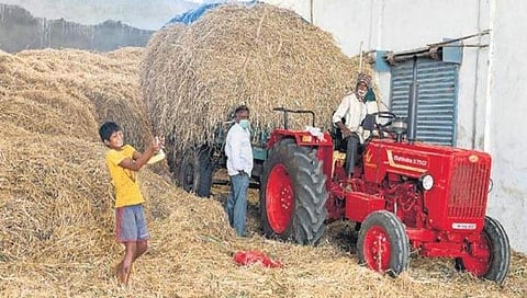 ಲಾಕ್ ಡೌನ್ ಸಮಯದಲ್ಲಿ ರೈತ ವಲಯವನ್ನು ಕಾಪಾಡಲು ಕ್ರಮ ಕೈಗೊಳ್ಳಿ: ತಜ್ಞರ ಅಭಿಮತ