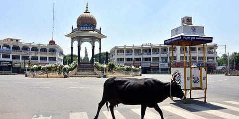 ಸಂಗ್ರಹ ಚಿತ್ರ