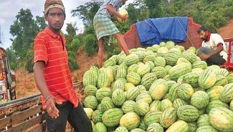ಕಲ್ಲಂಗಡಿ ಸಾಗಿಸುತ್ತಿರುವ ಬೆಳೆಗಾರರು