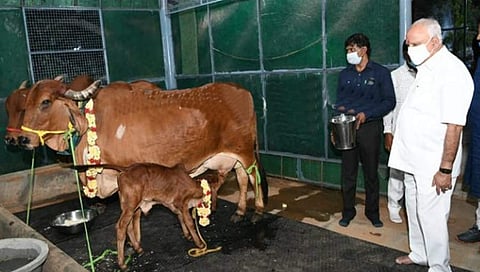ಬಿಎಸ್ ಯಡಿಯೂರಪ್ಪ