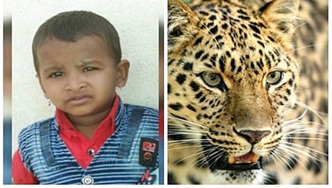 ಚಿರತೆಗೆ ಆಹಾರವಾದ ಮಗು ಹೇಮಂತ್