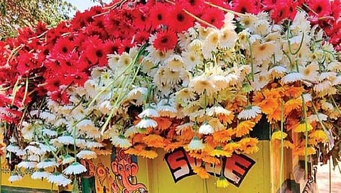 ಸಾಂದರ್ಭಿಕ ಚಿತ್ರ