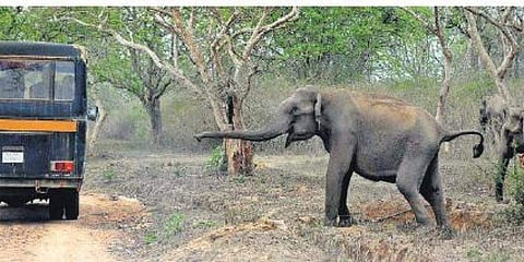 ಸಂಗ್ರಹ ಚಿತ್ರ