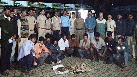 ಚಿಪ್ಪುಹಂದಿ ವ್ಯಾಪಾರ ನಡೆಸಿದ್ದ 10 ಮಂದಿಯ ಗ್ಯಾಂಗ್