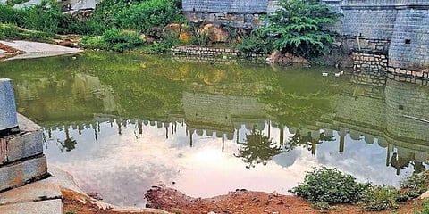 ಮಲ್ಲಸಂದ್ರ ಹೊಂಡ