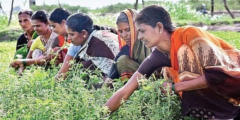 ಸಂಗ್ರಹ ಚಿತ್ರ