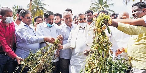 ಕೋಲಾರದಲ್ಲಿ ಸಿದ್ದರಾಮಯ್ಯ