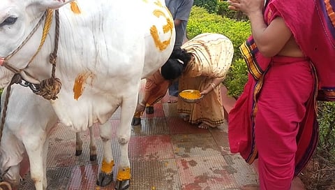 ಸಾಂದರ್ಭಿಕ ಚಿತ್ರ